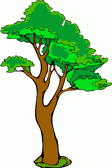 Pertamina Tanam 1.000 Pohon di Lhokseumawe